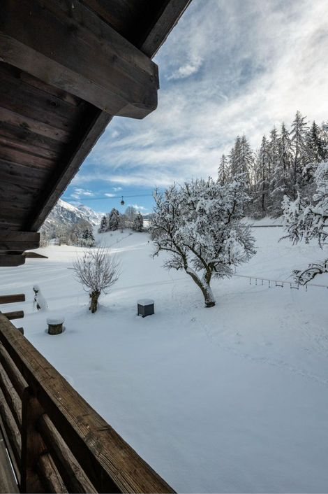 Snowy orchard seen from a timber balcony